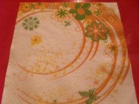 /album/servitky-na-vymenu/sdc16850-800-jpg/